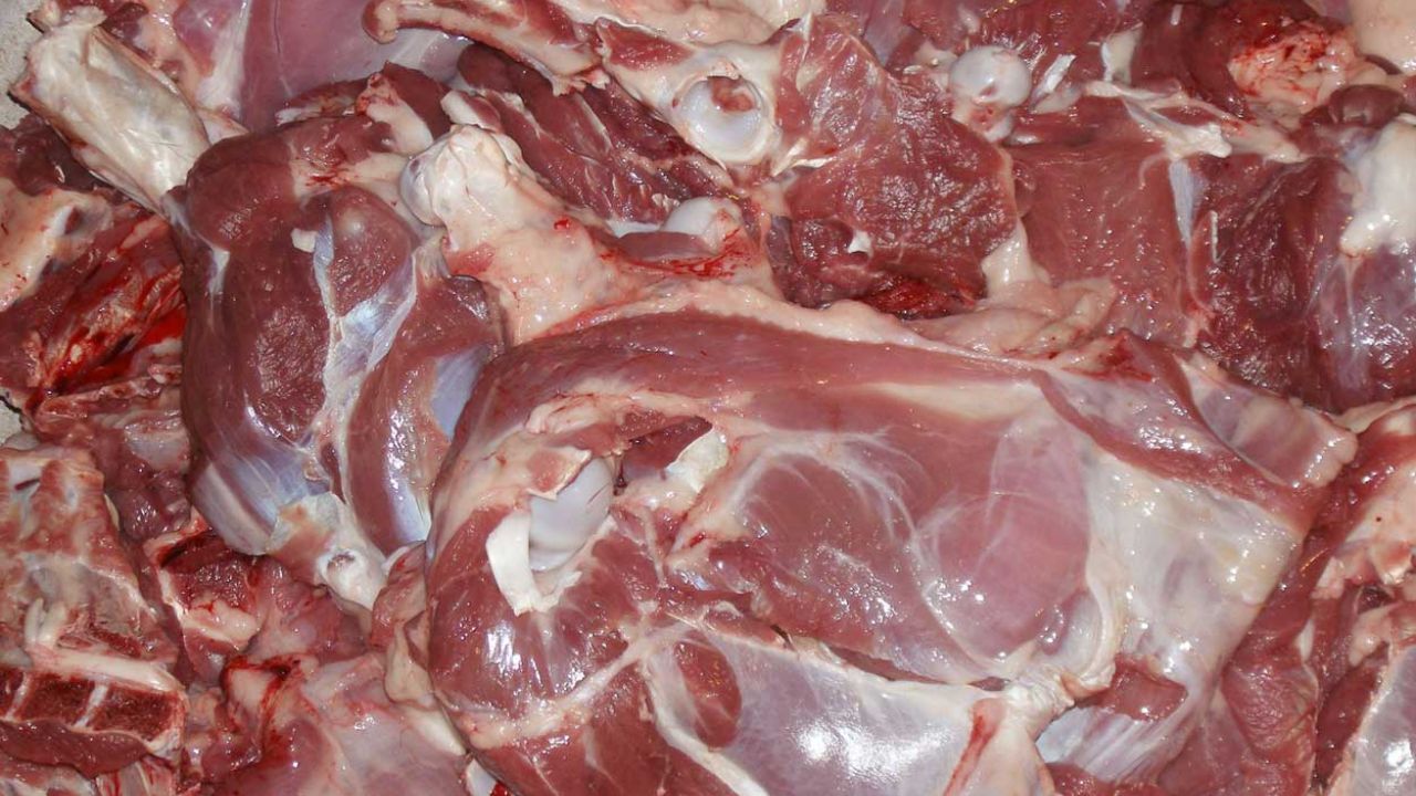 کمبود دام دلیل اصلی گرانی گوشت داخلی
