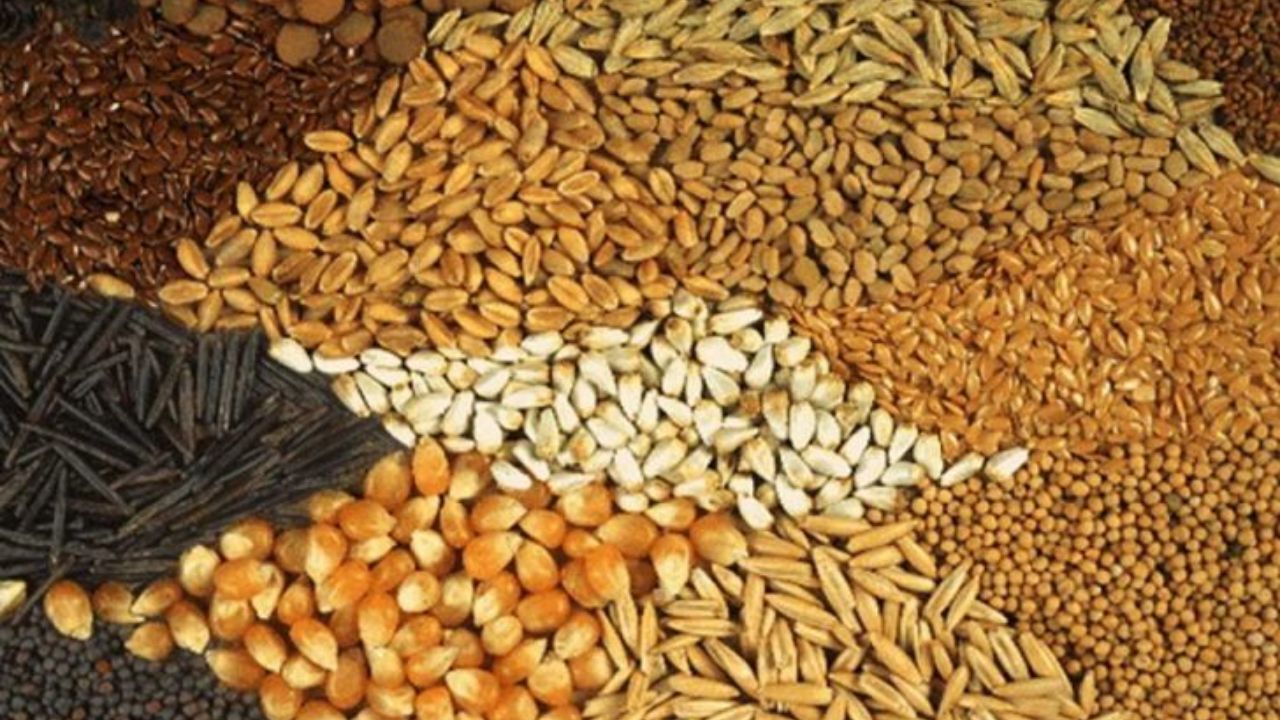 آغاز توزیع نهاده دولتی برای تنظیم بازار