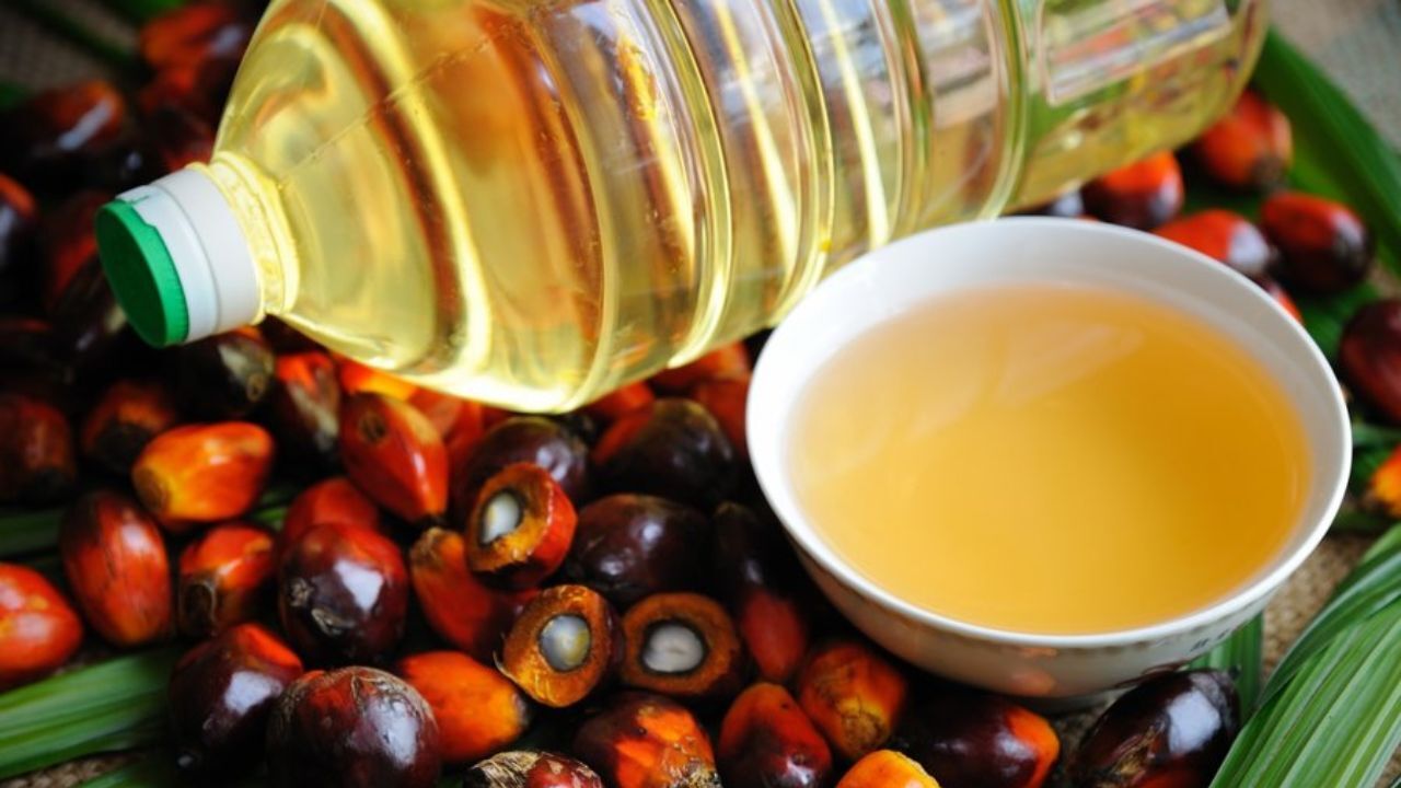 ورود ستاد مبارزه با مفاسد اقتصادی به ماجرای واردات 12 هزار تن روغن پالم «تاریخ مصرف گذشته»
