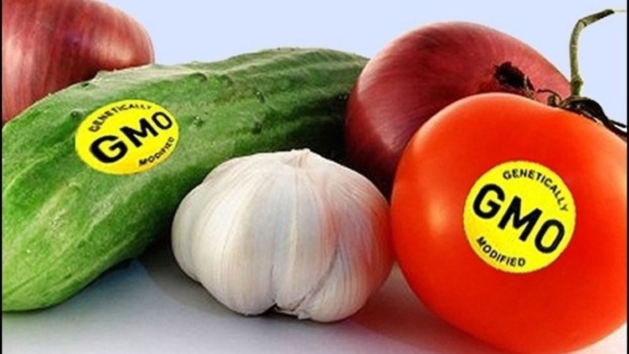 جوسازی رسانه‌ای در خصوص محصولات تراریخته/ موافق تولید محصولات تراریخته کشاورزی هستم