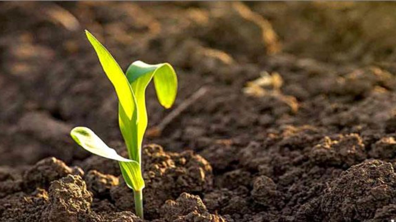 کلیات لایحه حفاظت از خاک به تصویب رسید