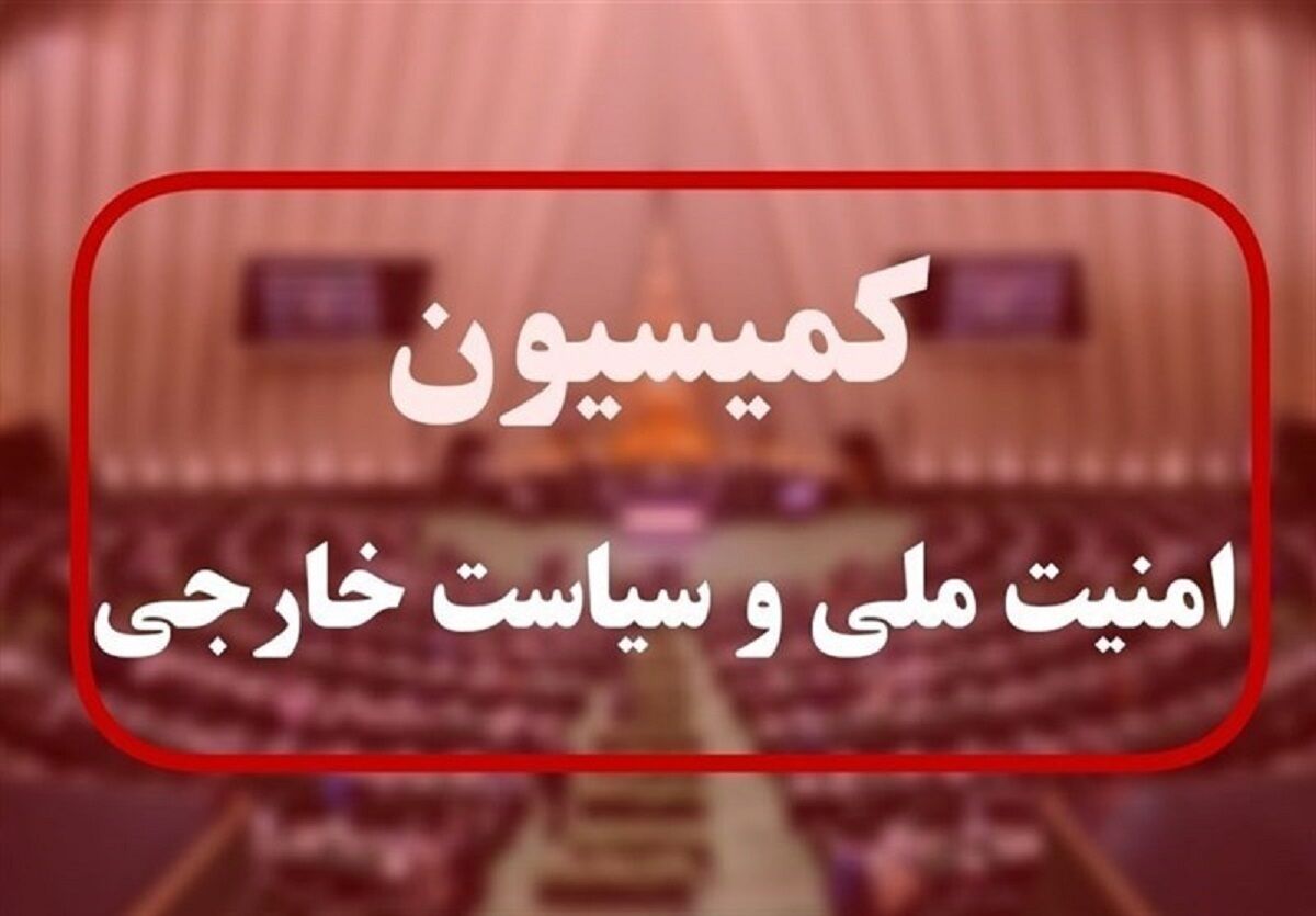 
لایحه حمایت از ایرانیان خارج از کشور نهایی شد
