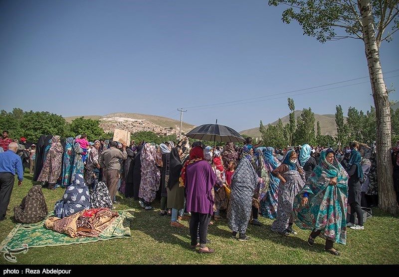 جشنواره گل محمدی در تبریز