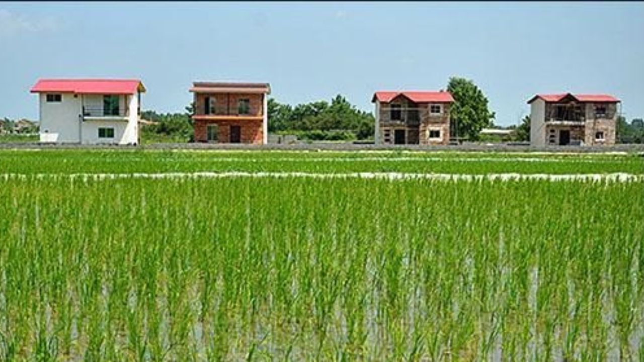 جلوگیری از تغییر کاربری حدود 7 هزار مترمربع زمین کشاورزی