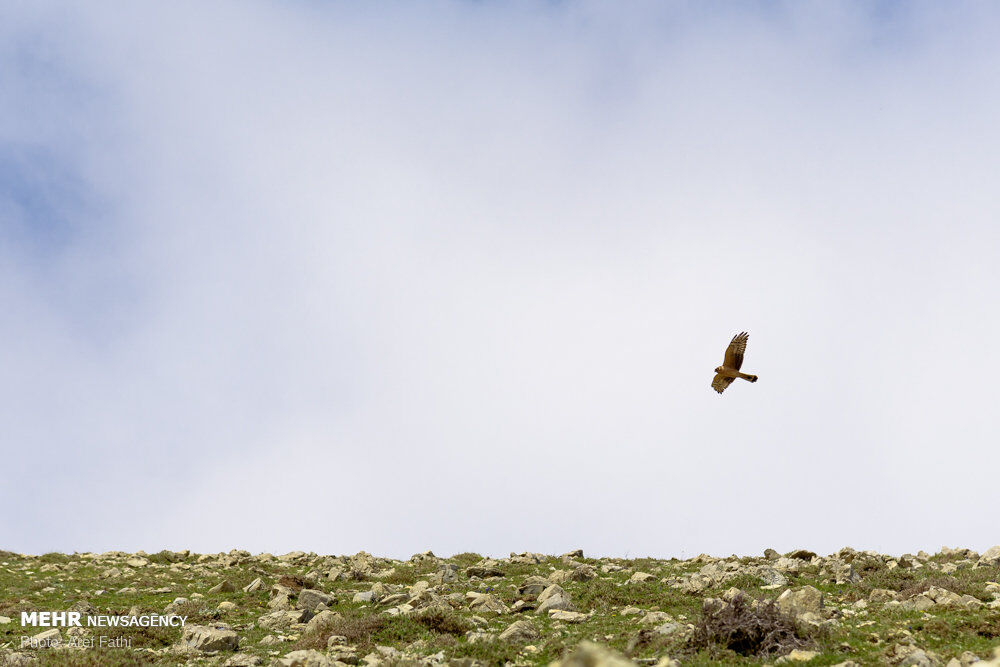 مناظر زیبای ماسال