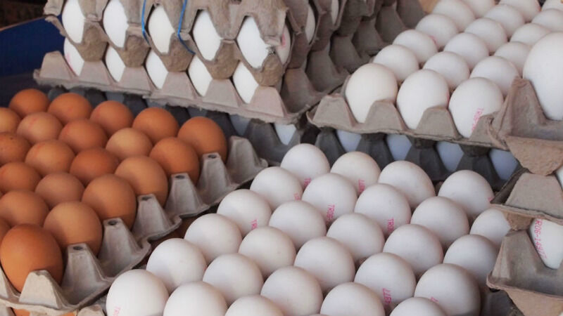 کاهش قیمت تخم مرغ در بازار/ تاثیر افزایش 100 درصدی قیمت نهاده‌ها بر مرغ و تخم‌مرغ