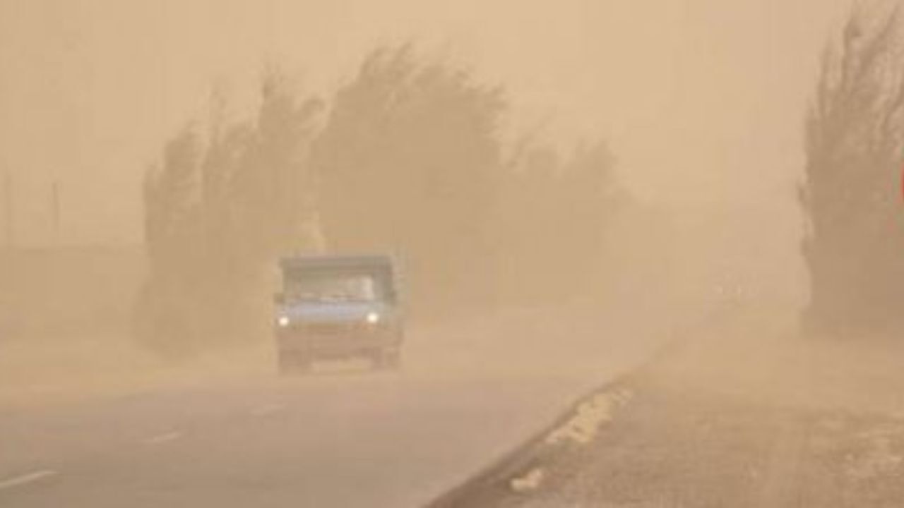 غلظت ذرات معلق در هوای سیستان به 10 برابر حدمجاز رسید/ طوفان درختان را از ریشه درآورد