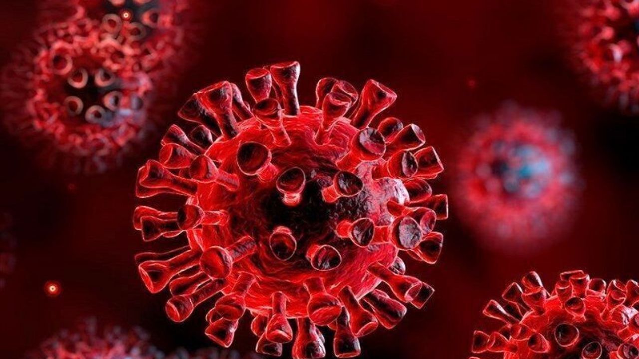 80 تا 85 درصد ابتلا به کرونا دلتا بدون علامت است