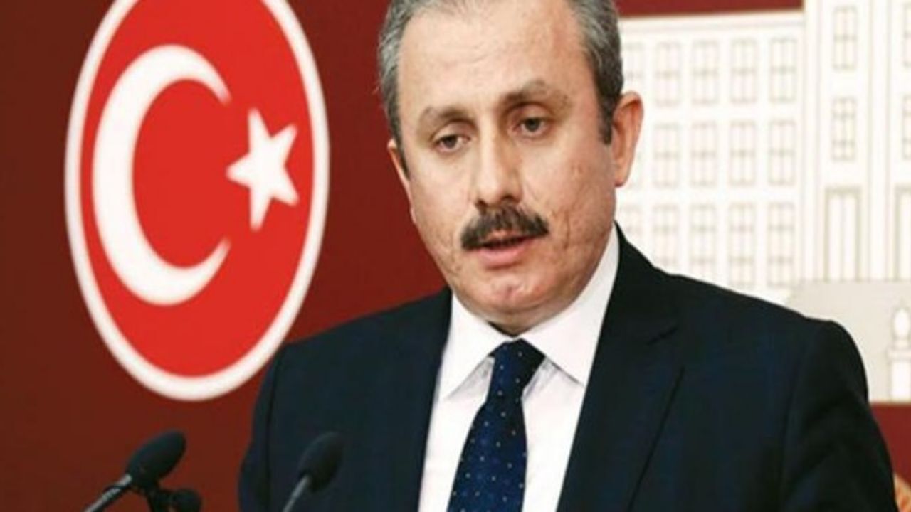 رئیس مجلس ترکیه وارد تهران شد