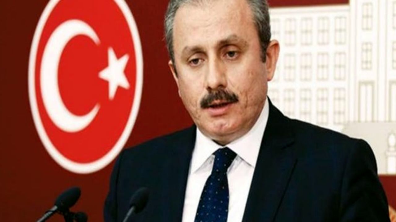 رئیس مجلس ترکیه وارد تهران شد