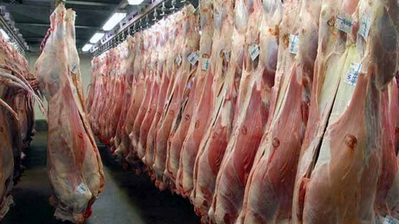 قیمت گوشت گوسفندی اعلام شد/ احتمال افزایش قیمت گوشت در نیمه دوم سال/ امسال ذبح دام بیش از حد است