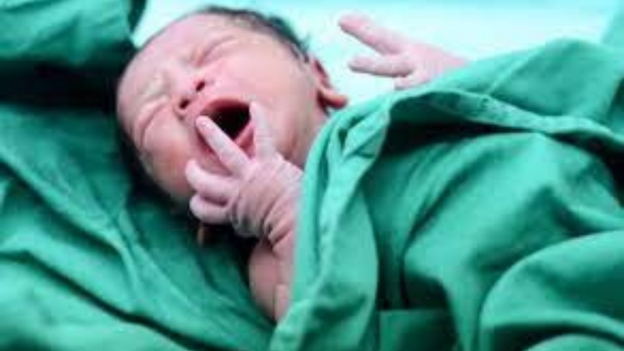 تجارت چراغ خاموش «اهدای تخمک»/معامله‌ای برای فروش «مادری»