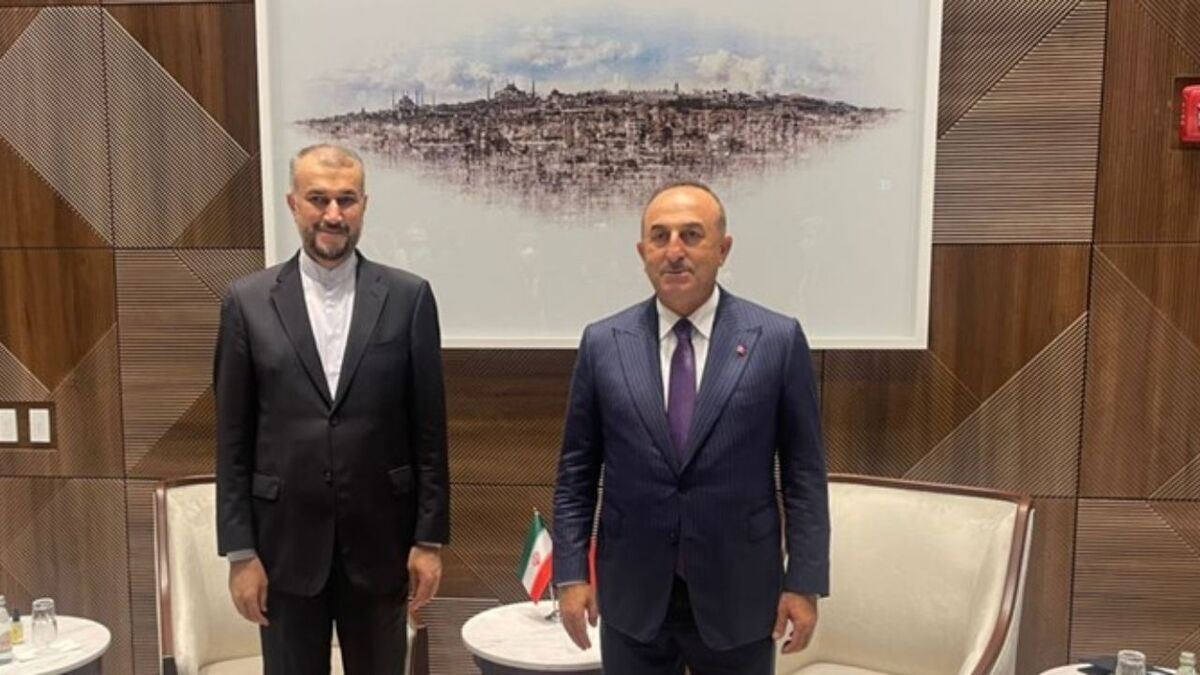چاووش اوغلو فردا به تهران می آید