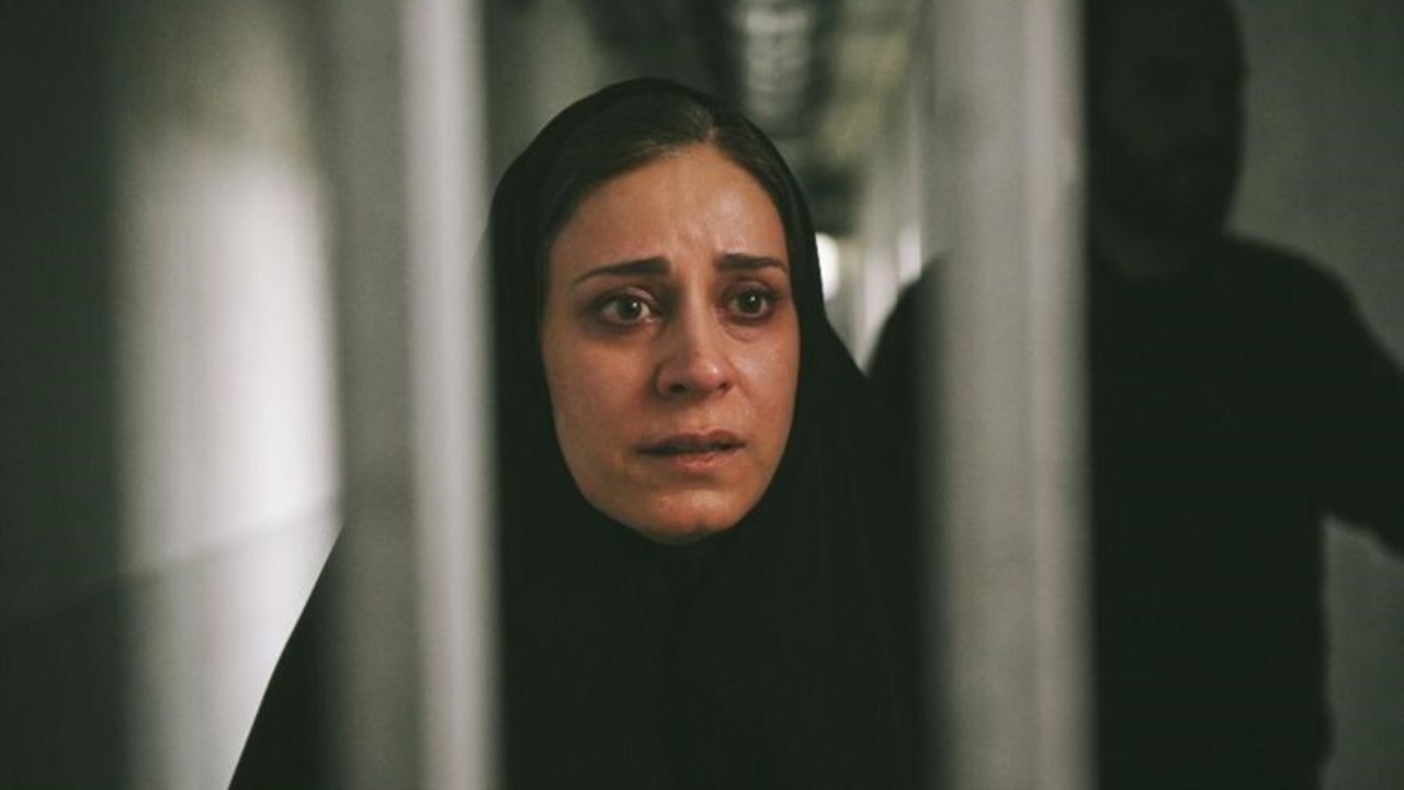 «قصیده گاو سفید» برگزیده جشنواره وایادولید شد
