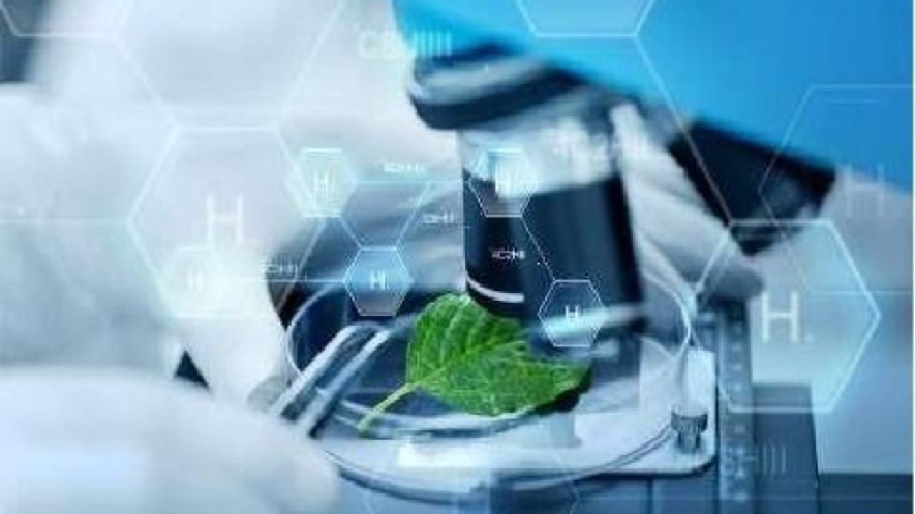 اعطای جایزه انتقال فناوری به برترین قراردادهای گروه دی-8