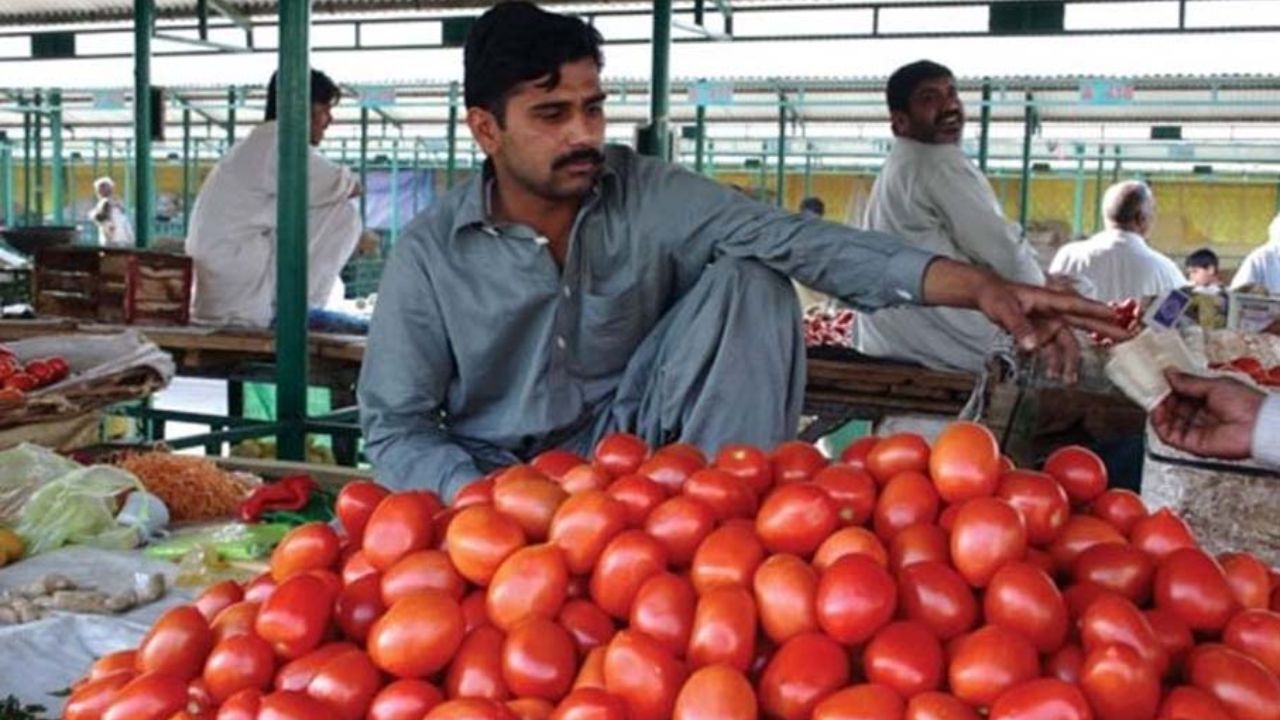 بارندگی ها گوجه فرنگی را گران کرد