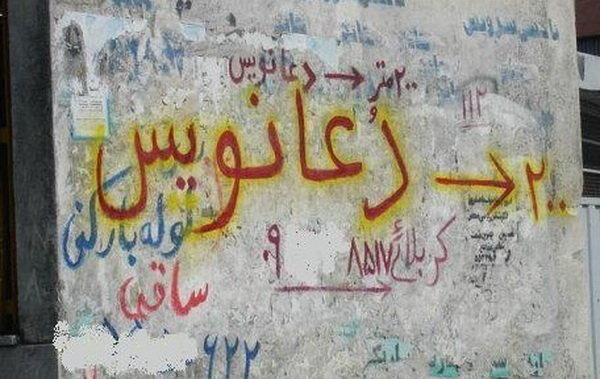 ضربه‌ای که دعانویسان به حیات‌وحش می‌زنند؛ فروش قاچاقی اندام جنسی حیوانات برای تحکیم روابط زناشویی
