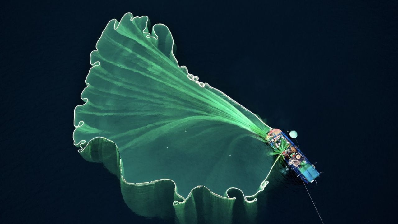 برترین‌های مسابقه عکاسی با پهپاد + عکس