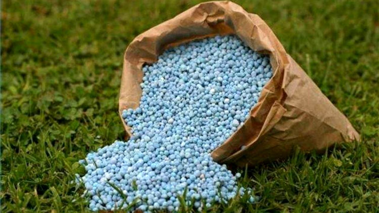 کشتی‌رانی قیمت‌ها را دو و نیم برابر افزایش داد