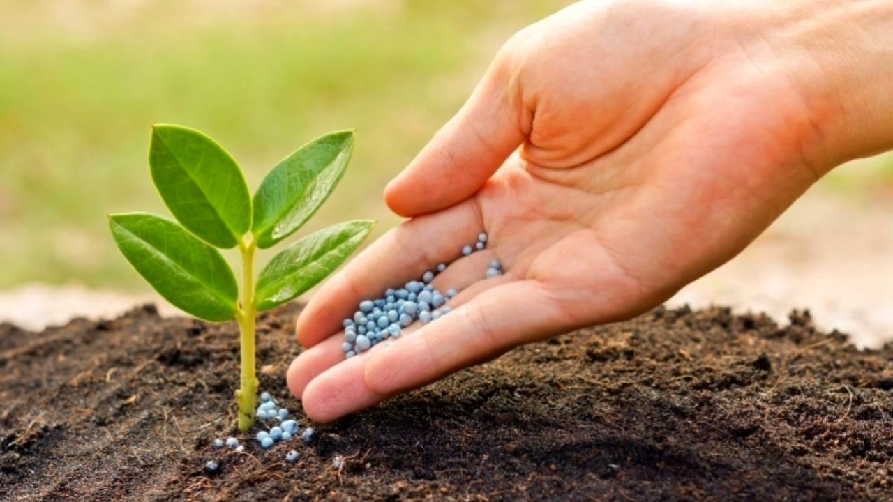 تامین و تدارک بیش از 2 میلیون تن انواع کودهای شیمیایی