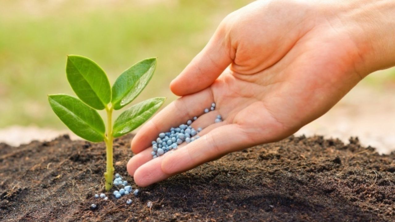 تامین و تدارک بیش از 2 میلیون تن انواع کودهای شیمیایی
