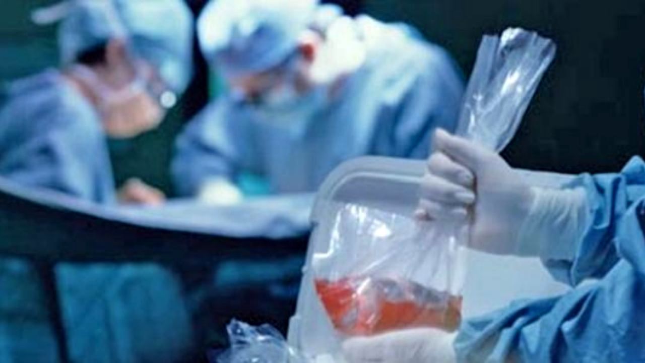 انتصاب مدیر کل امور تجهیزات و ملزومات پزشکی