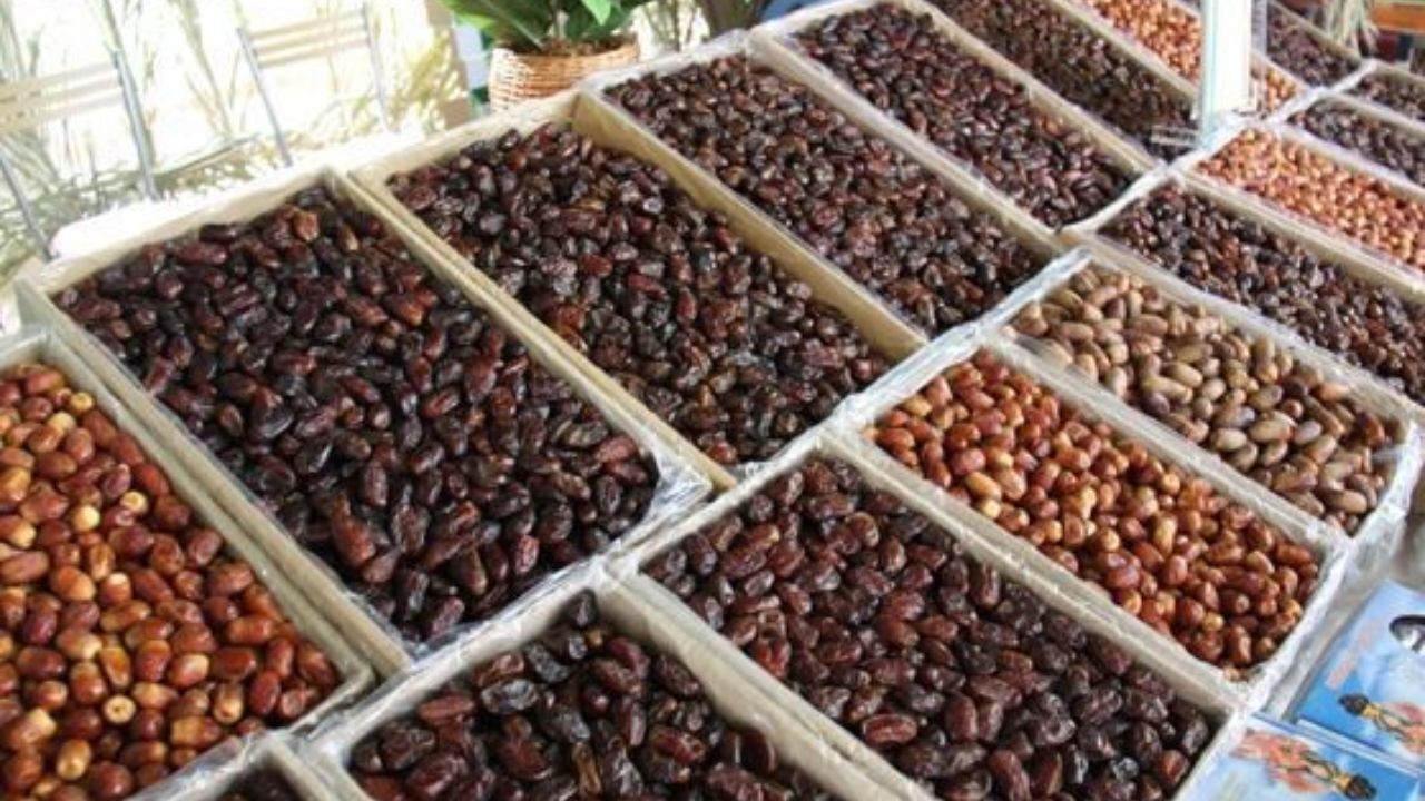 مخالف ممنوعیت صادرات خرما هستیم