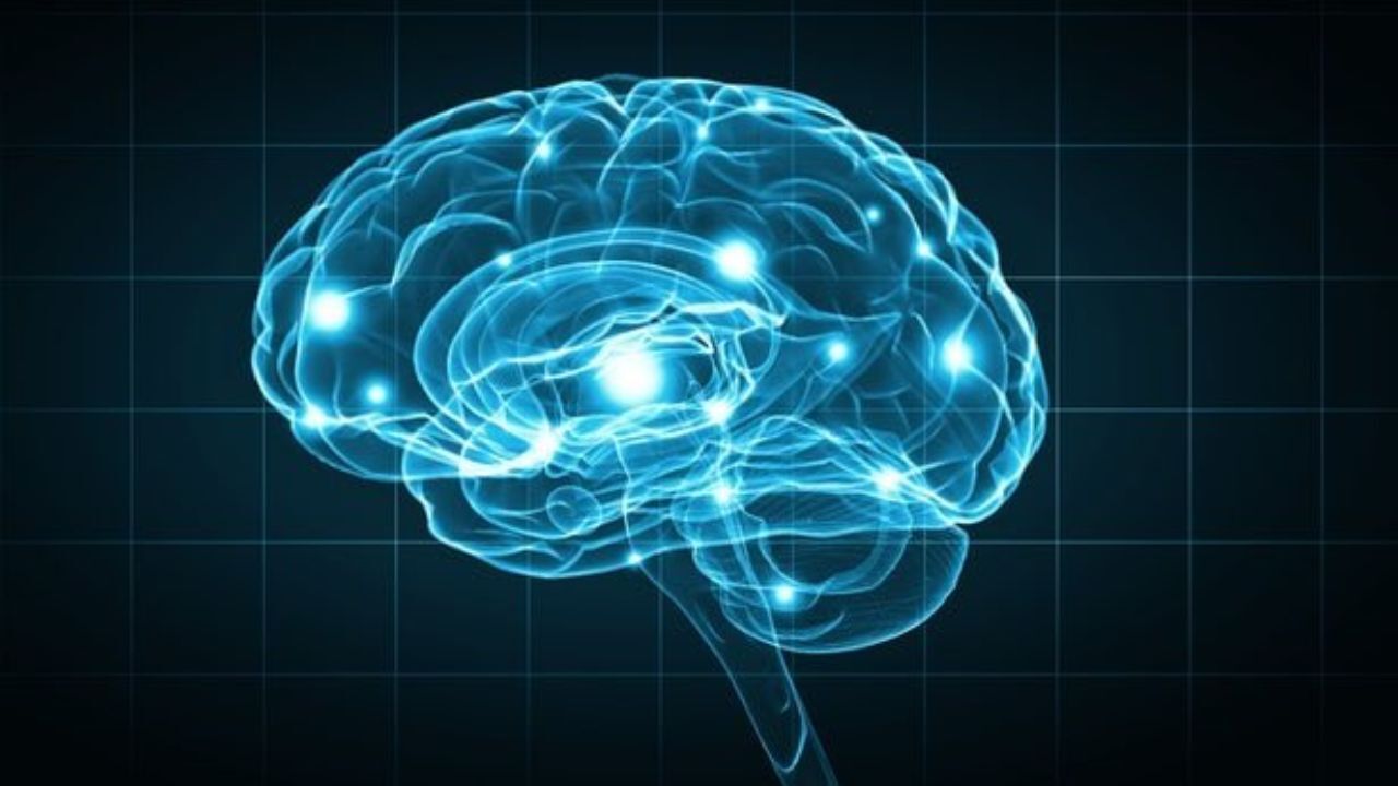 کاهش سروتونین با ابتلا به اوتیسم ارتباط دارد