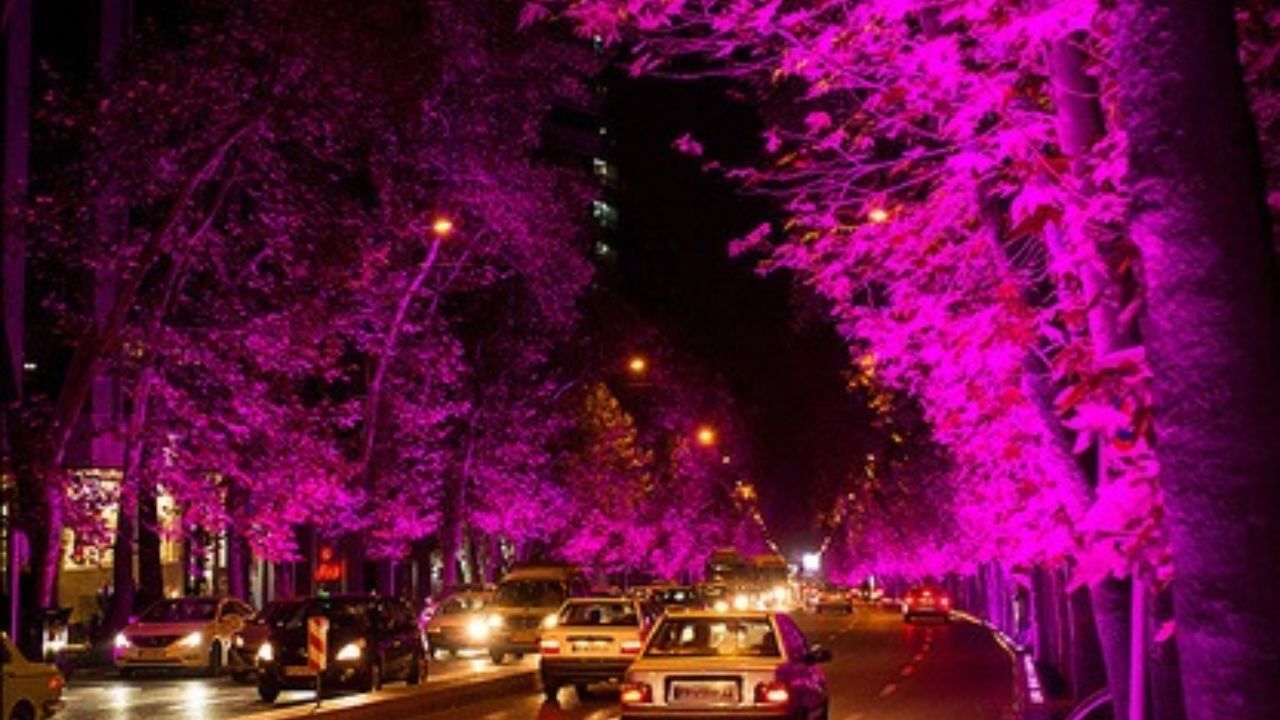 نورپردازی درختان را متوقف کردیم