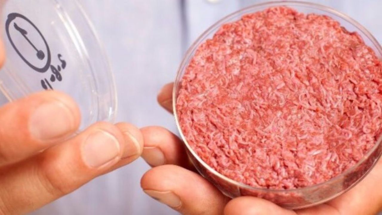 تامین مواد اولیه برای تولید گوشت آزمایشگاهی