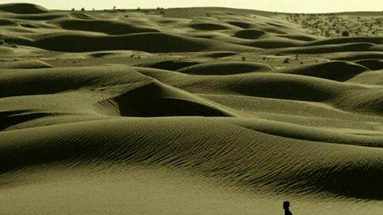 نقد و بررسی«پناه» درخانه هنرمندان برگزار می‌شود