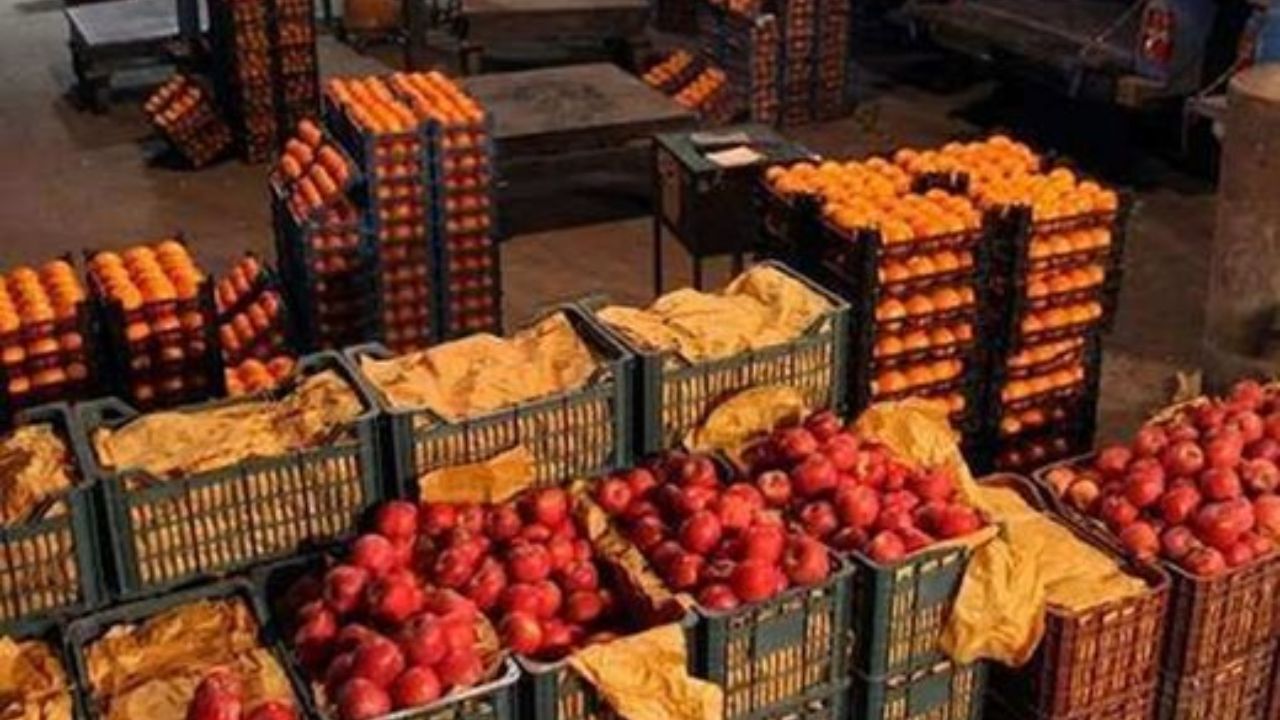 میوه تنظیم بازاری تا 20 فرودین عرضه می‌شود