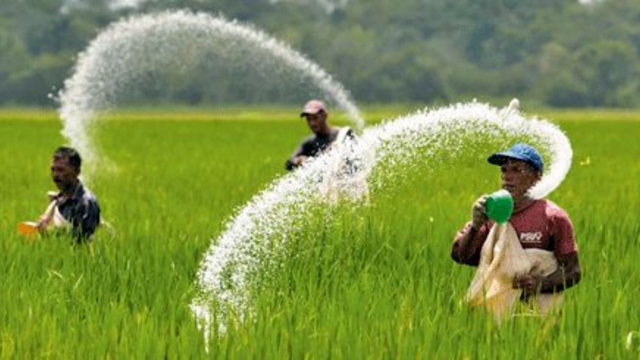 بیش از 128 هزارتن کود اوره در تعطیلات نوروز حمل و توزیع شد