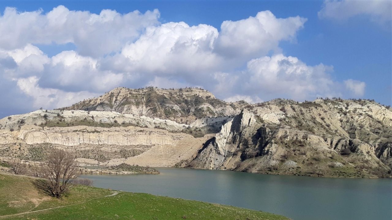 چرا تا 2 دهه دیگر ایران جنگلی نخواهد داشت؟