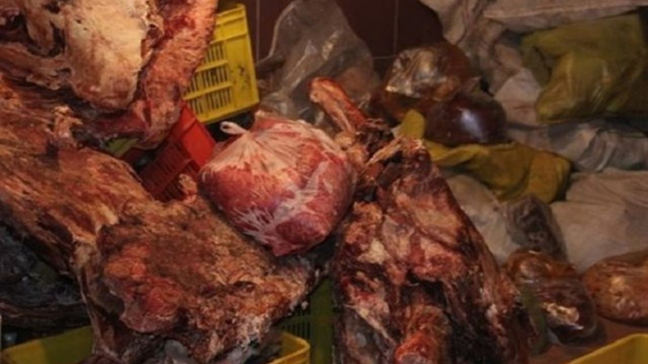 معدوم‌سازی 4 تن مواد غذایی و آرایشی فاسد در پایتخت