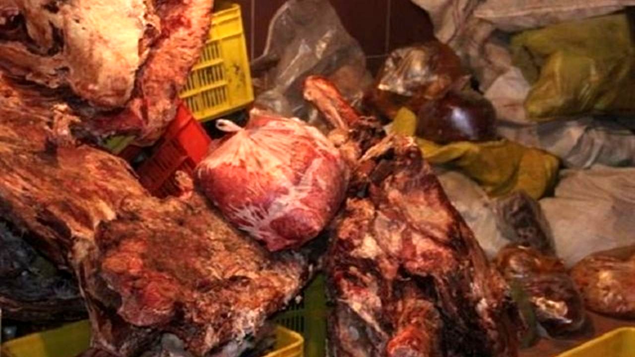 معدوم‌سازی 4 تن مواد غذایی و آرایشی فاسد در پایتخت