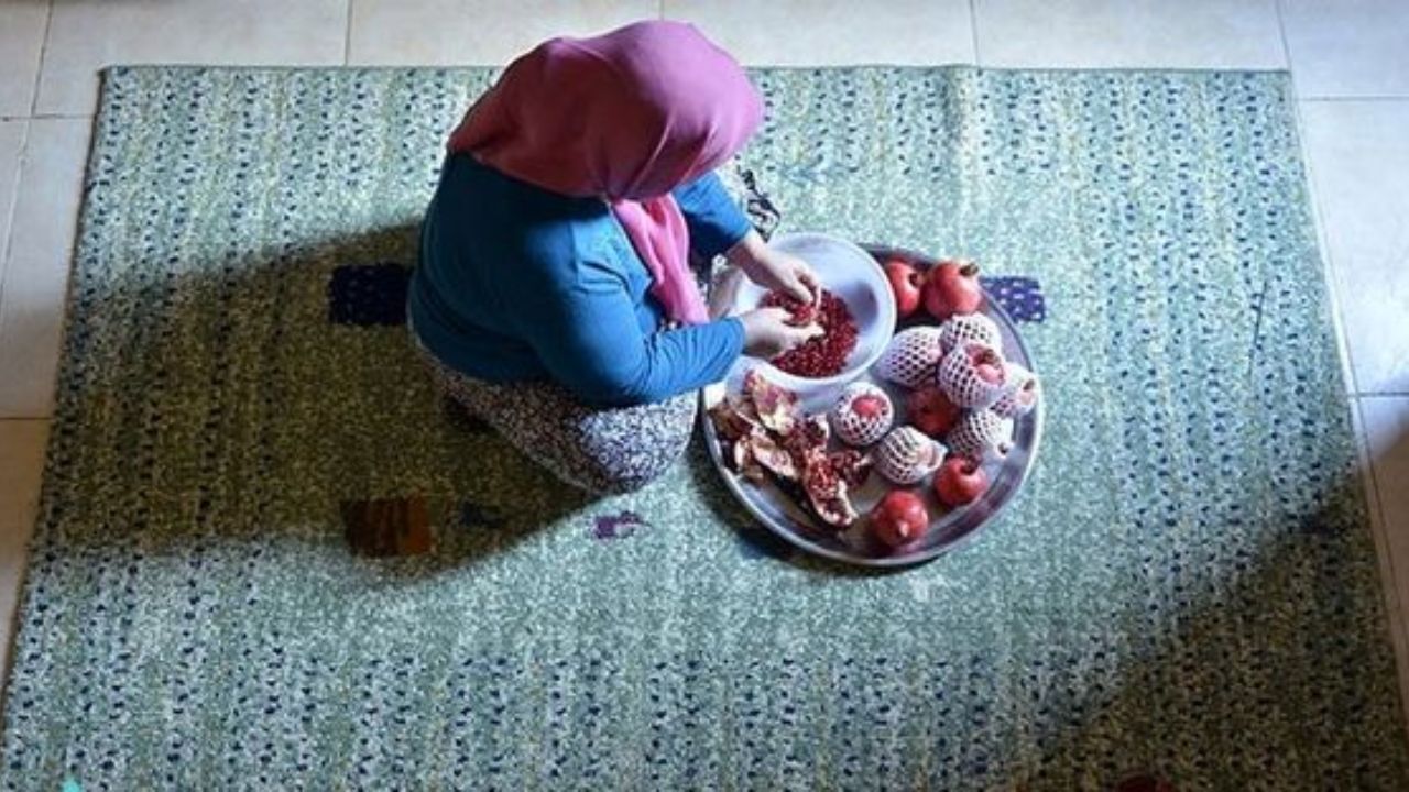 زنان 18 تا 50 سال خانه‌دار می‌توانند درخواست بیمه کنند/ امکان بیمه برای مجردها هم وجود دارد/ سرانه درمان هم به بیمه زنان اضافه می‌شود