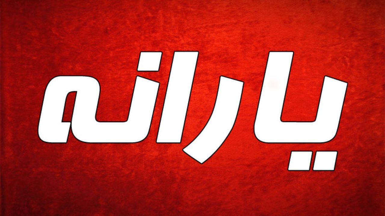 هفته آینده؛ قرائت گزارش تخلفات سازمان هدفمندی یارانه‌ها در مجلس