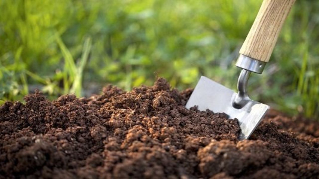 دولت با یک میلیارد دلار صندوق ذخیره ارزی از صنایع خرد و بخش کشاورزی حمایت کند