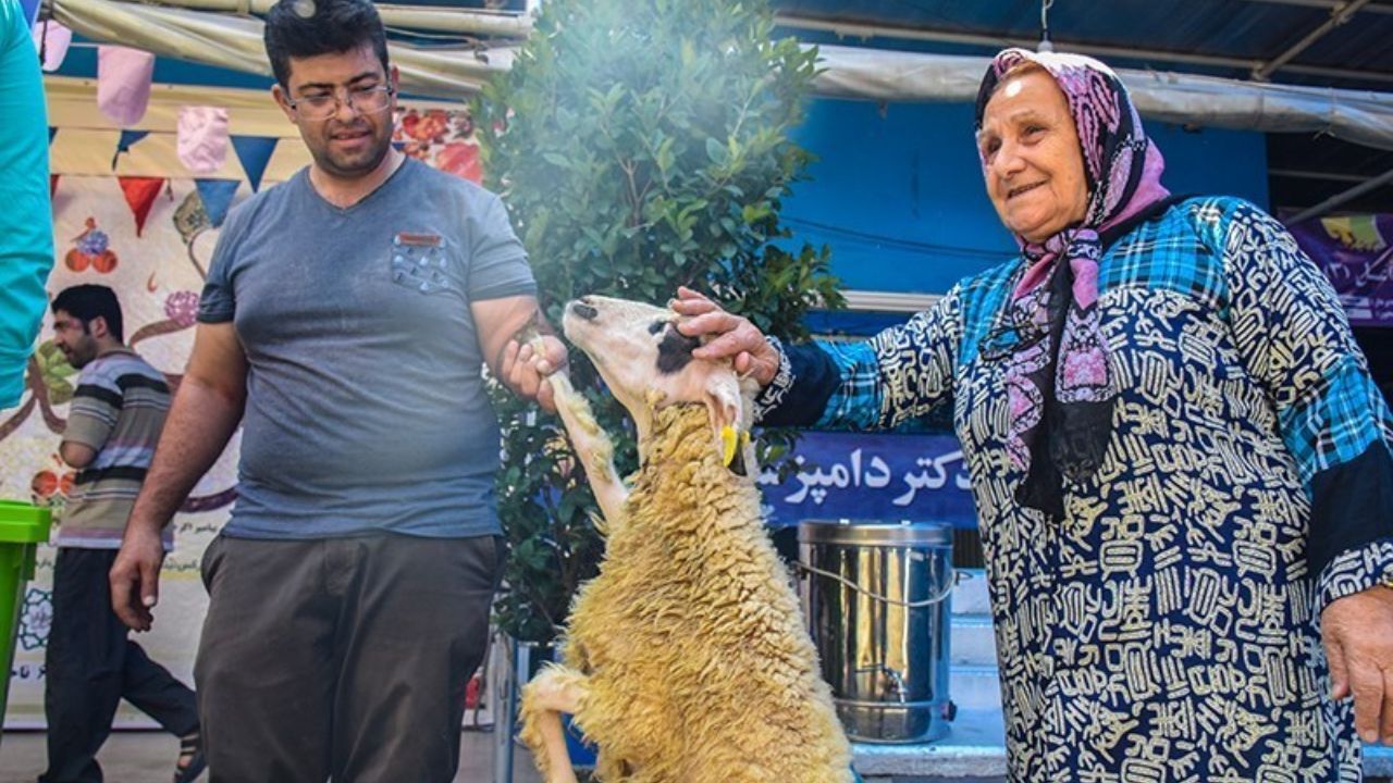 جایگاه‌های عرضه بهداشتی دام در 22 منطقه پایتخت راه اندازی می‌شود