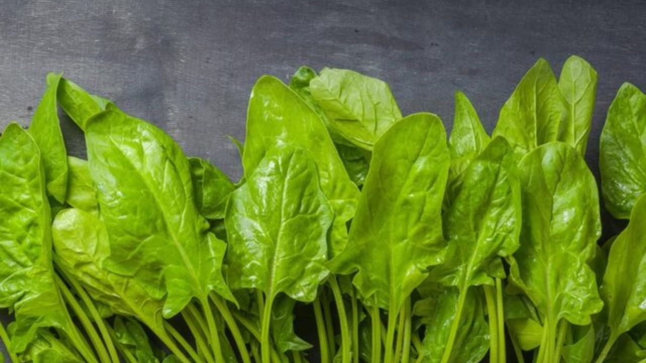 مصرف اسفناج روی عضلات تاثیر دارد؟