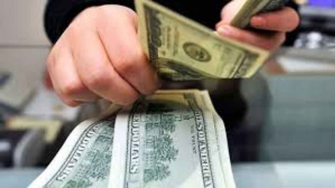 استعلام از بانک مرکزی و گمرک درباره تخصیص ارز دولتی و کالاهای وارد شده