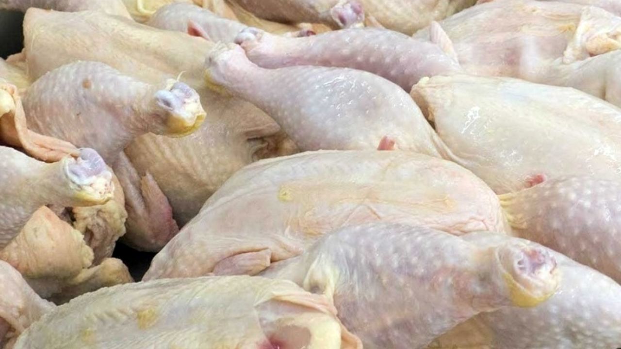عوامل افزایش قیمت گوشت مرغ اعلام شد