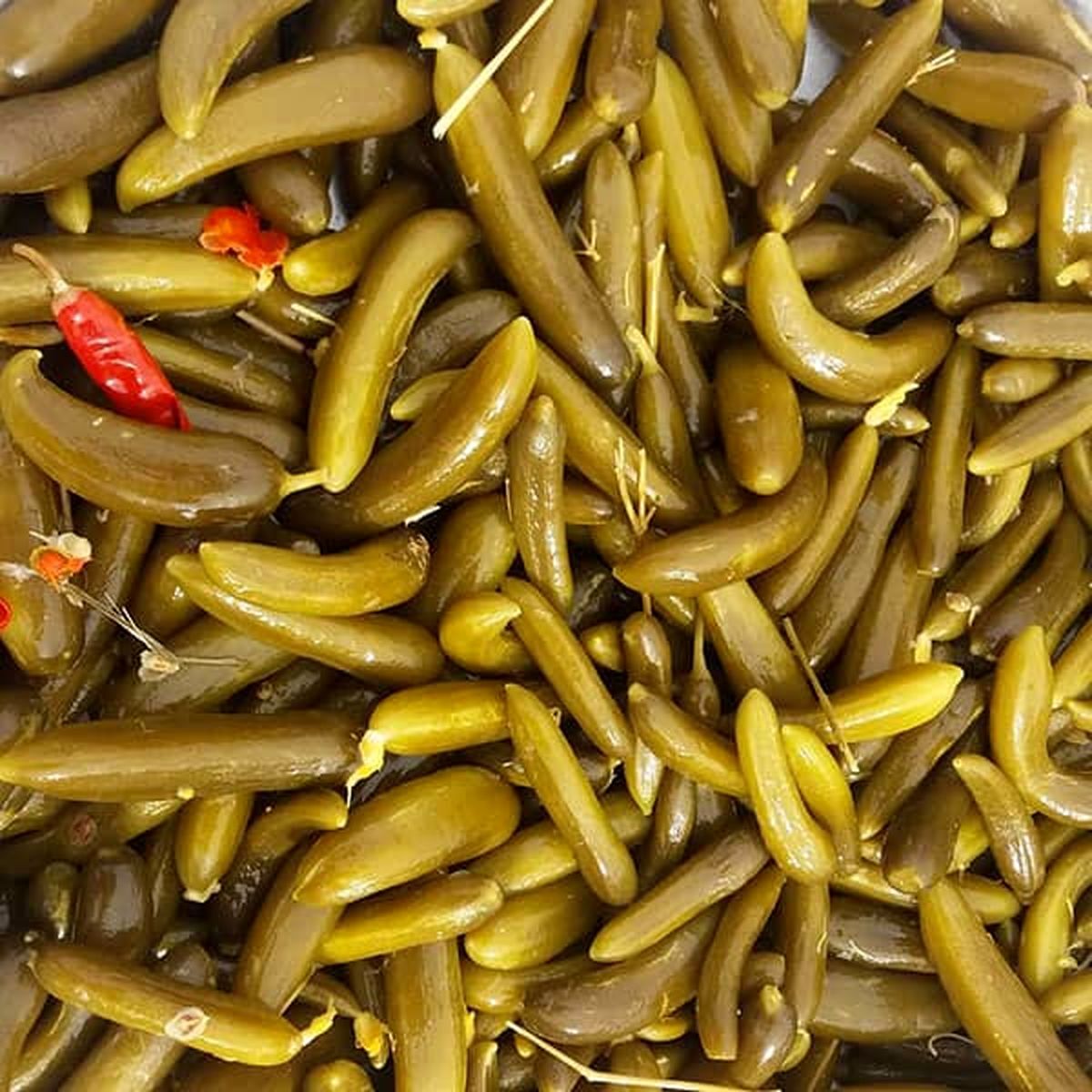 خیارشورهای تریاکی در قم کشف شد