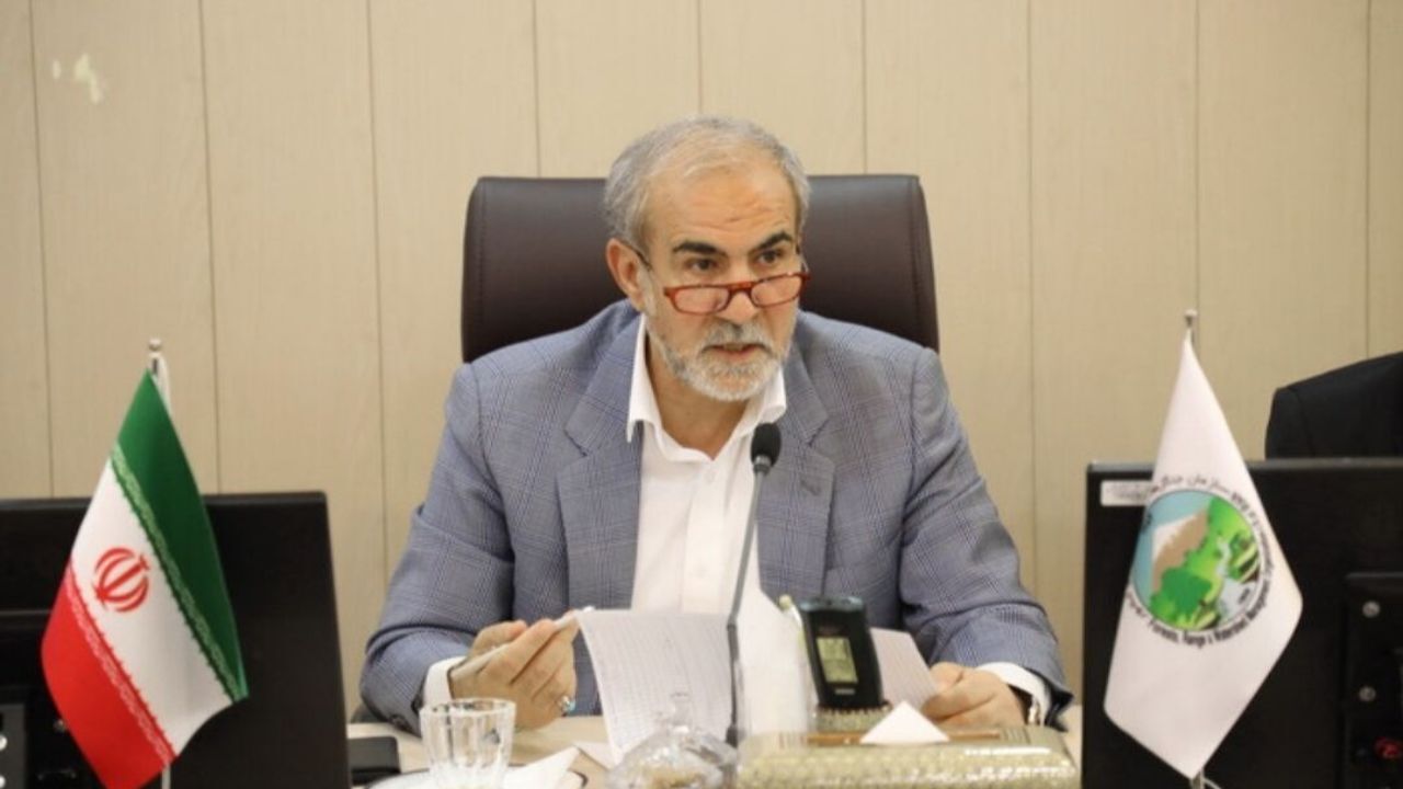 مناقصه حفاظت از جنگل‌های هیرکانی امسال برگزار می‌شود