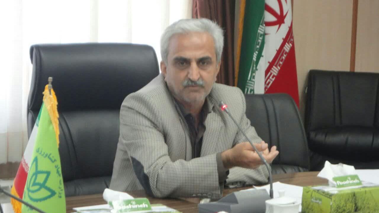 پیش‌بینی افزایش عملکرد تولید برگ سبز چای به بیش از 7 تن در هکتار/ پرداخت تسهیلات با سود 4 درصد برای احیای باغ‌های رها شده