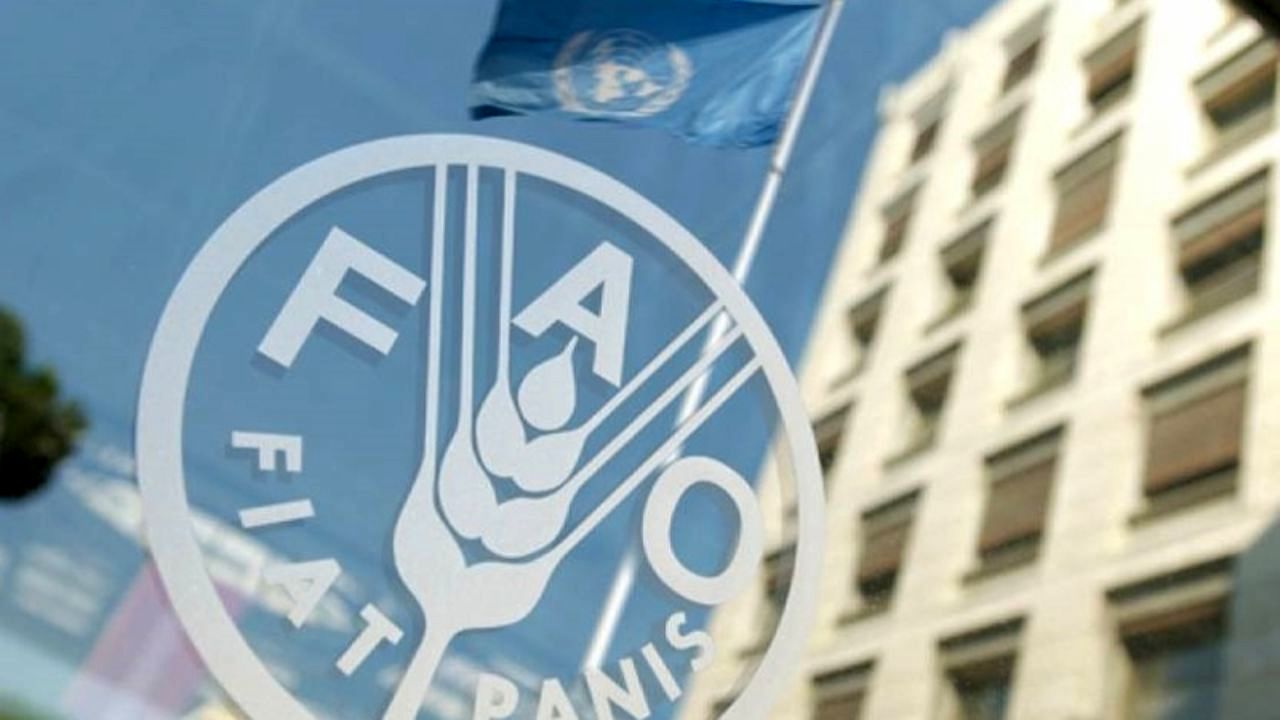 حمایت فائو از برنامه‌های سازگاری با تأثیرات تغییرات اقلیمی