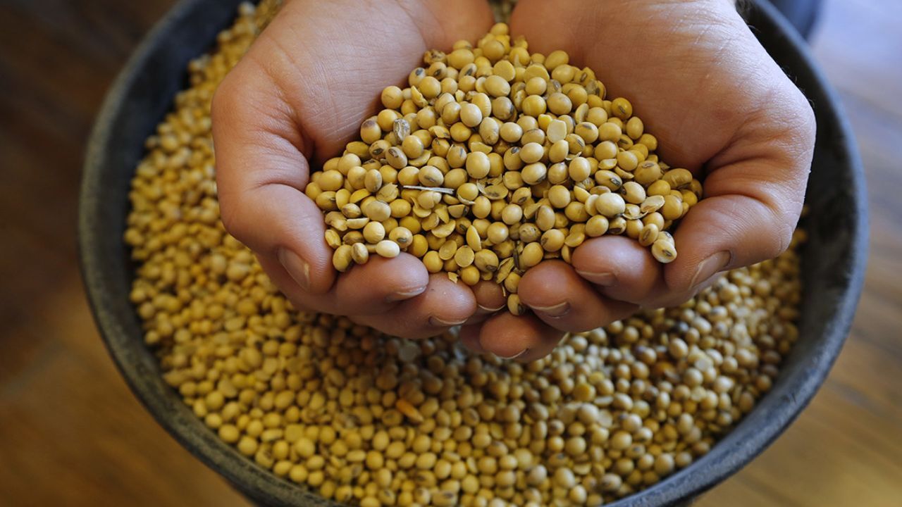 مواد خوراکی ممنوعه برای مبتلایان استروژنی