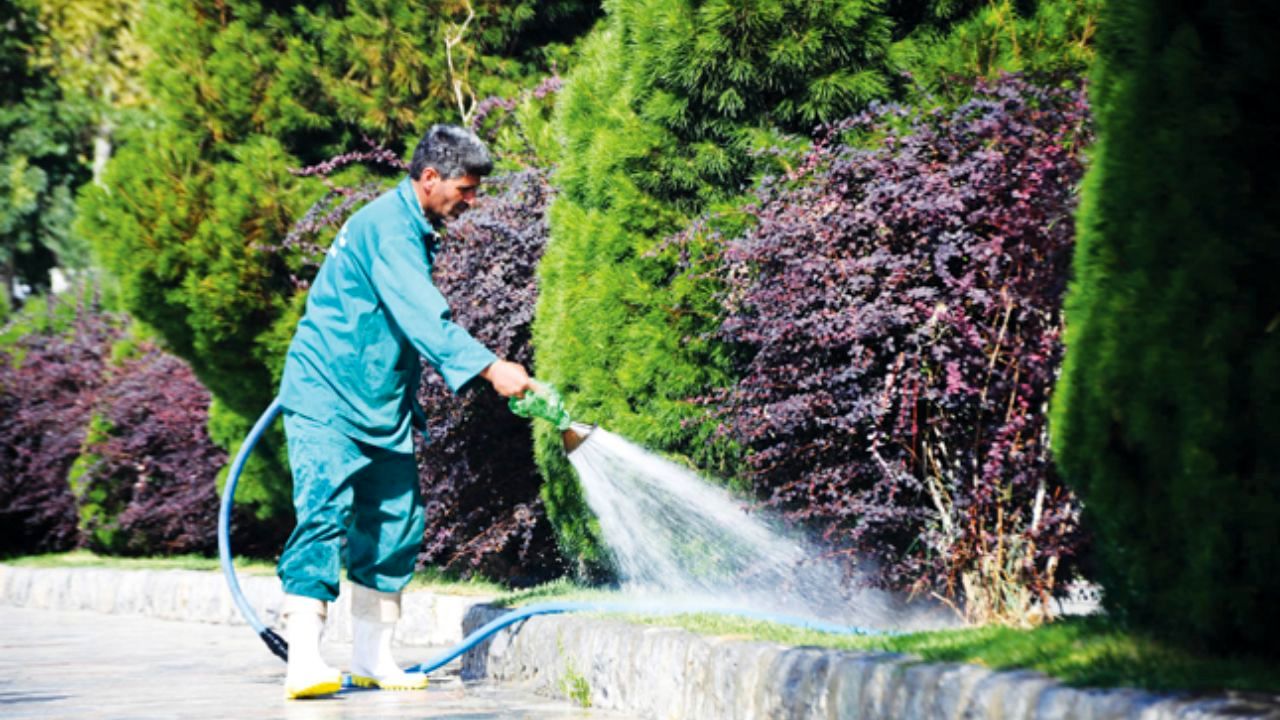 اختصاص 550 مخزن جمع‌آوری نزولات آسمانی برای آبیاری فضای سبز تهران