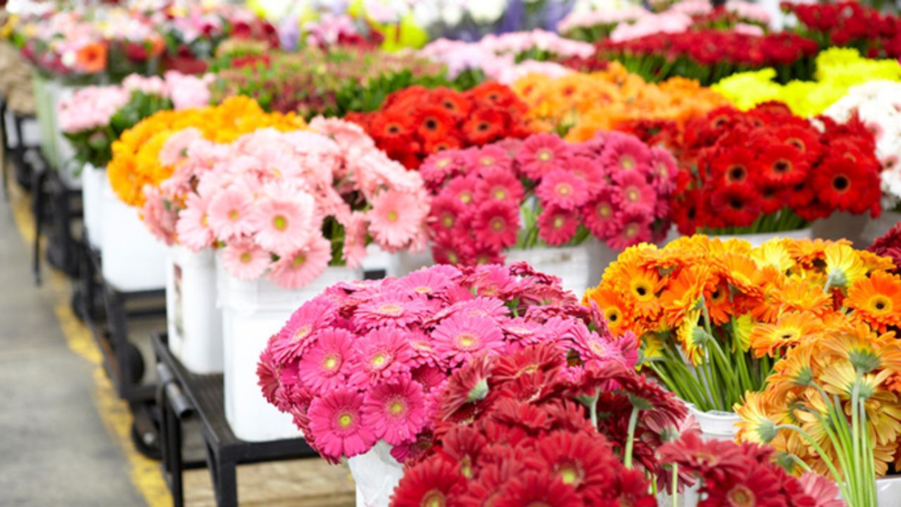 برای عید غدیر افزایش قیمتی نداریم